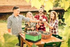 Barbacoa Portatil Sin Humo Teide Verde -cocina al aire libre comercio Barbacoa Portatil Sin Humo Teide Verde 11