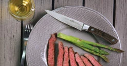 Cuchillo Para Filete Pro Napoleon -cocina al aire libre comercio Cuchillo para Filete Pro Napoleon 1