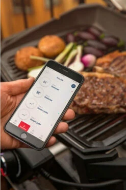 Weber Pulse 1000 23 Weber Pulse 1000 -cocina al aire libre comercio Weber Pulse 1000 10