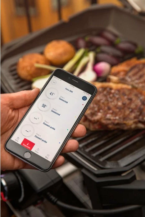 Weber Pulse 1000 12 Weber Pulse 1000 - Imagen 10