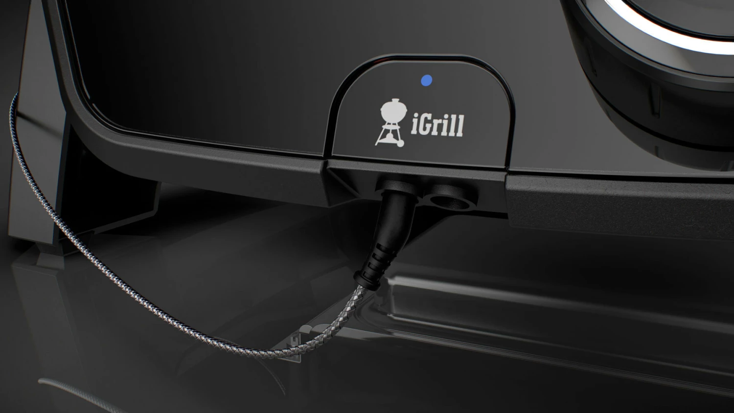 Weber Pulse 1000 7 Weber Pulse 1000 - Imagen 5