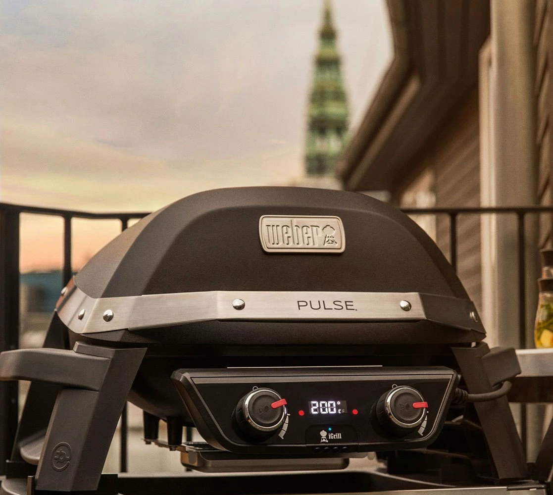 Weber Pulse 2000 12 Weber Pulse 2000 - Imagen 10